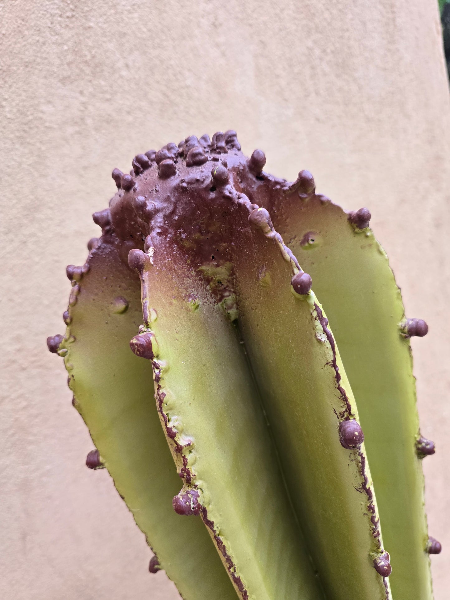 Cactus cierge en métal